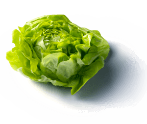 Kropsla