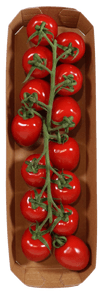 Mini Cherry Pruim Tomaten