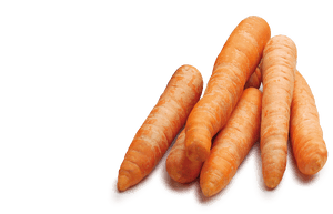 Winterpeen Verpakt