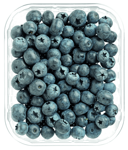 Blauwe Bessen