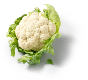 Bloemkool