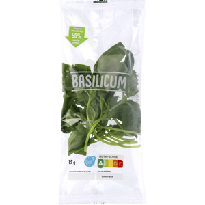 Basilicum