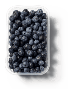 Blauwe Bessen