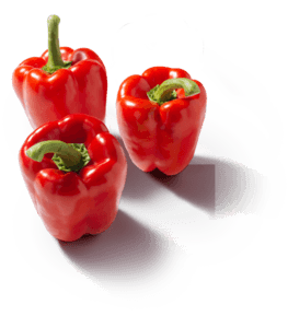 Paprika Rood