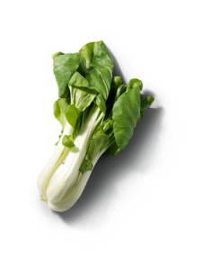 Paksoi