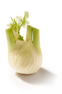 Venkel