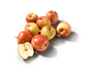Fuji Appels Los