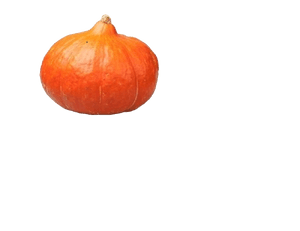 Bio+ Pompoen
