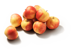 Elstar Appels Los