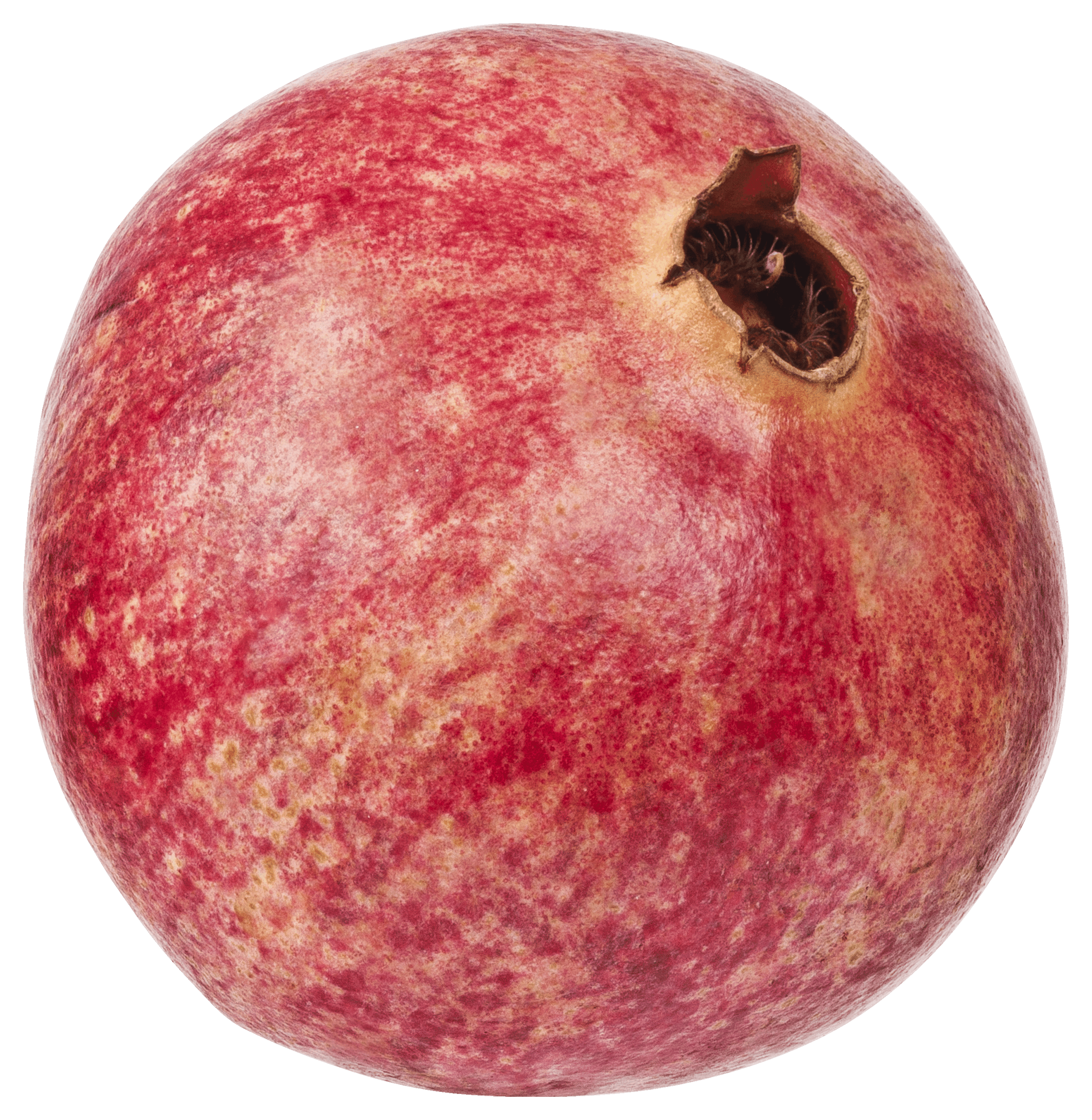 Eat Me Granaatappel