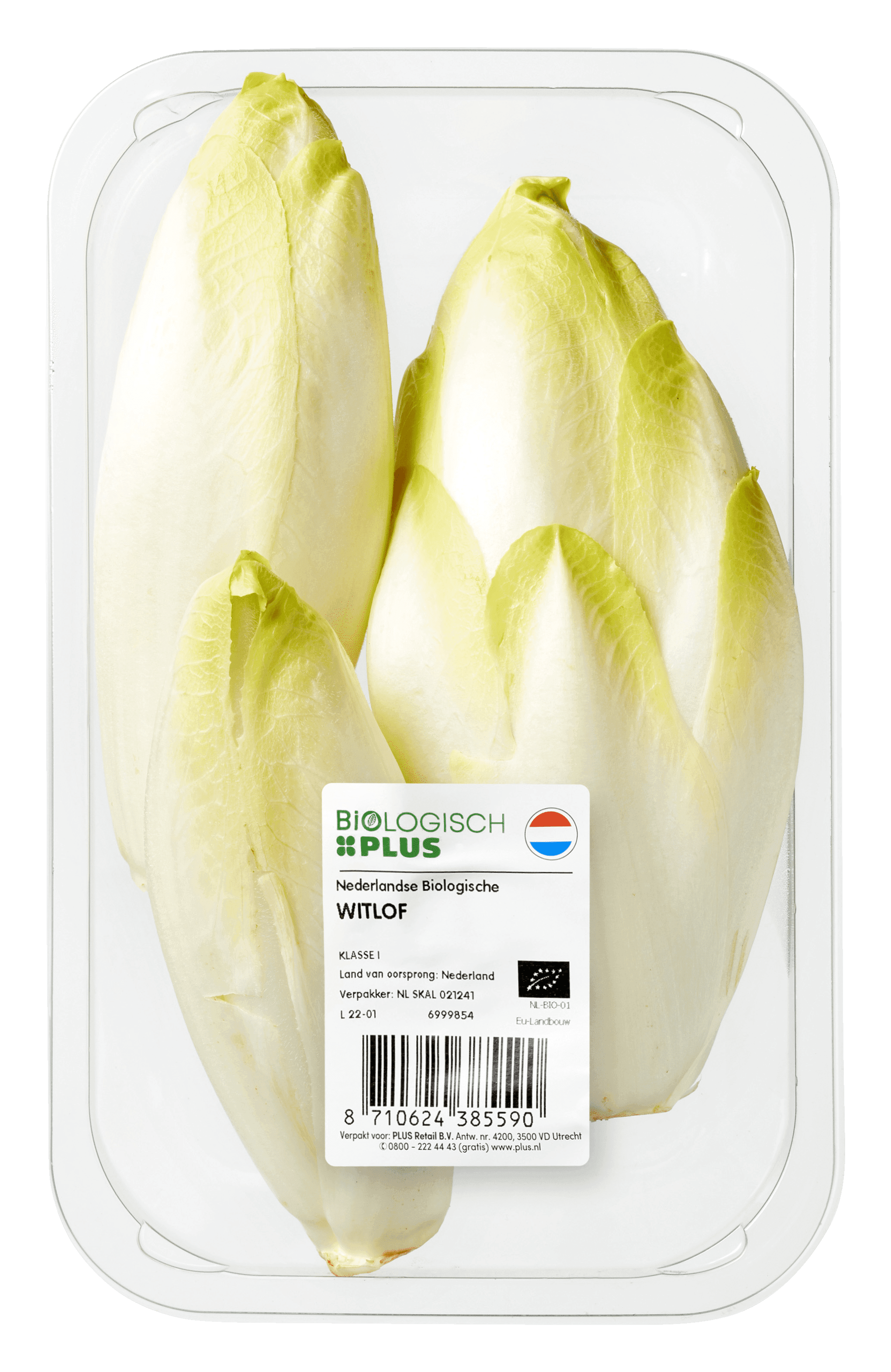 Biologisch PLUS Witlof