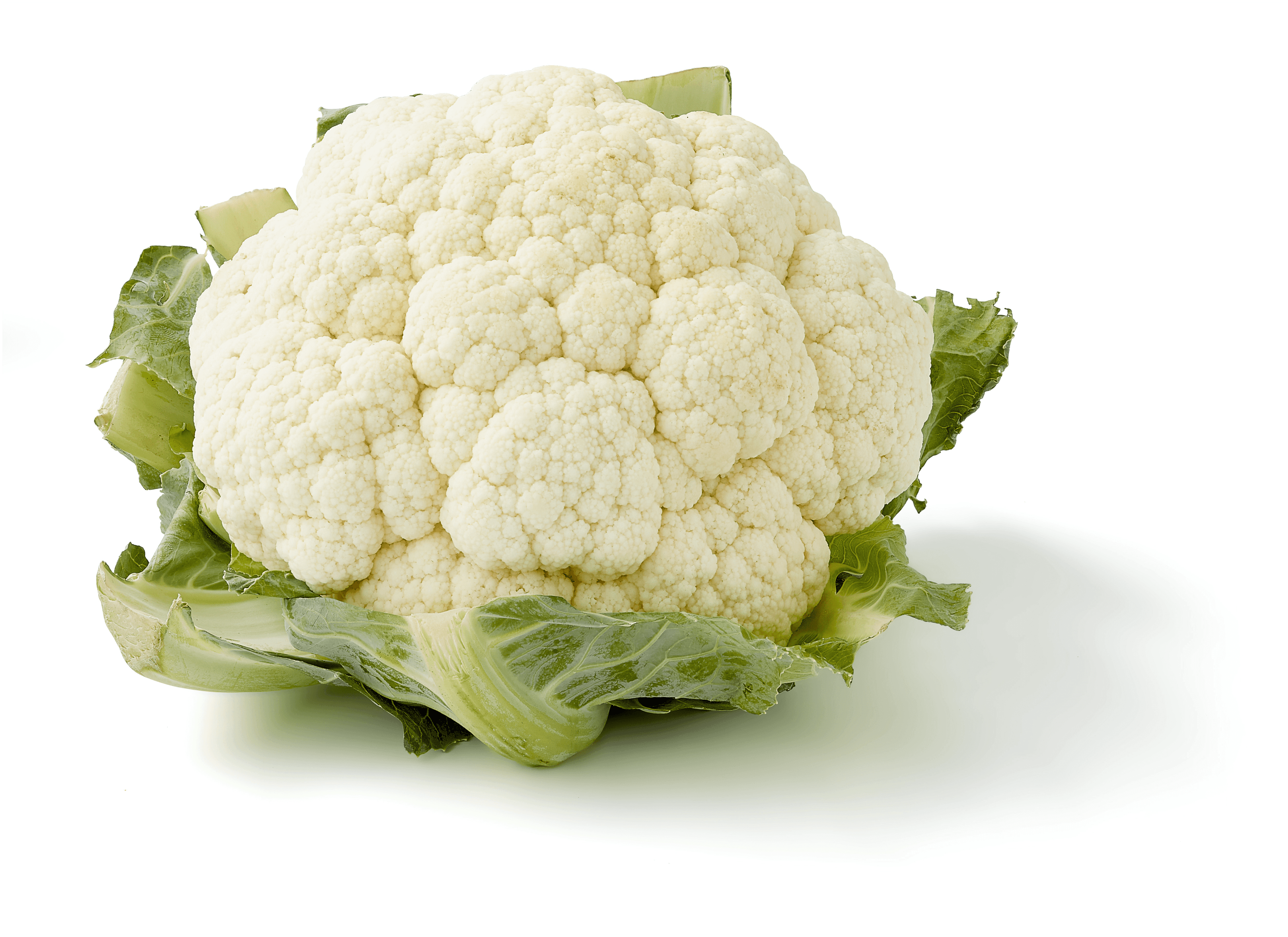 Biologisch PLUS Bloemkool