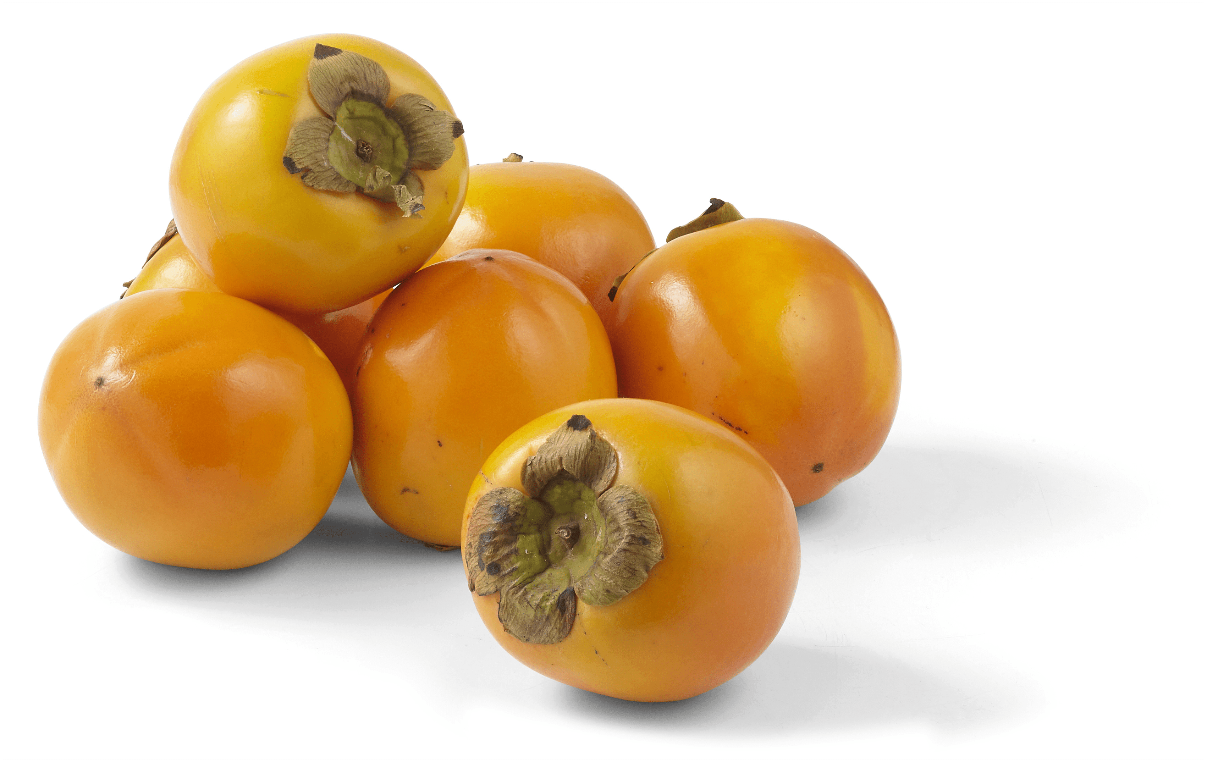 PLUS Kaki