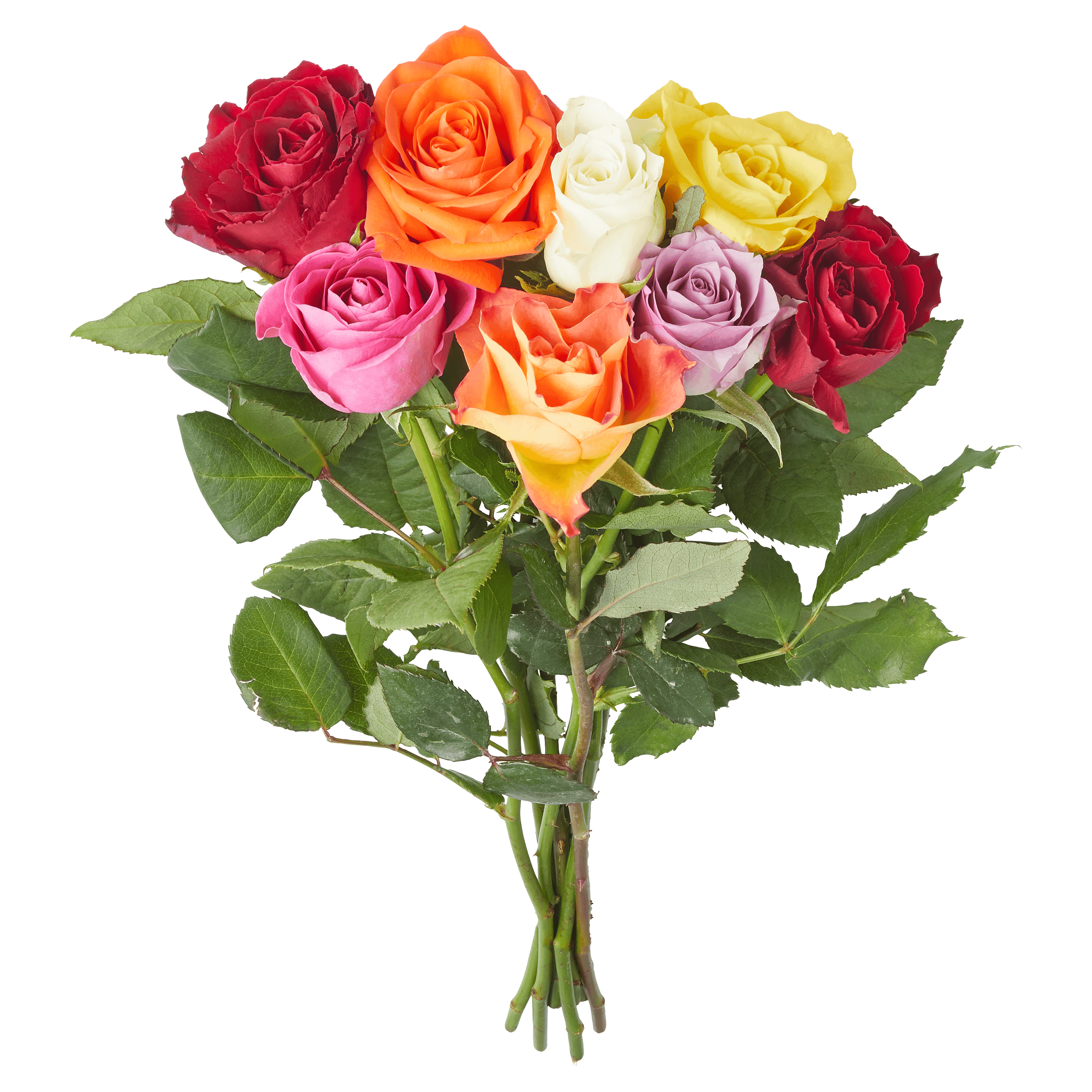 PLUS Rozen bont mix