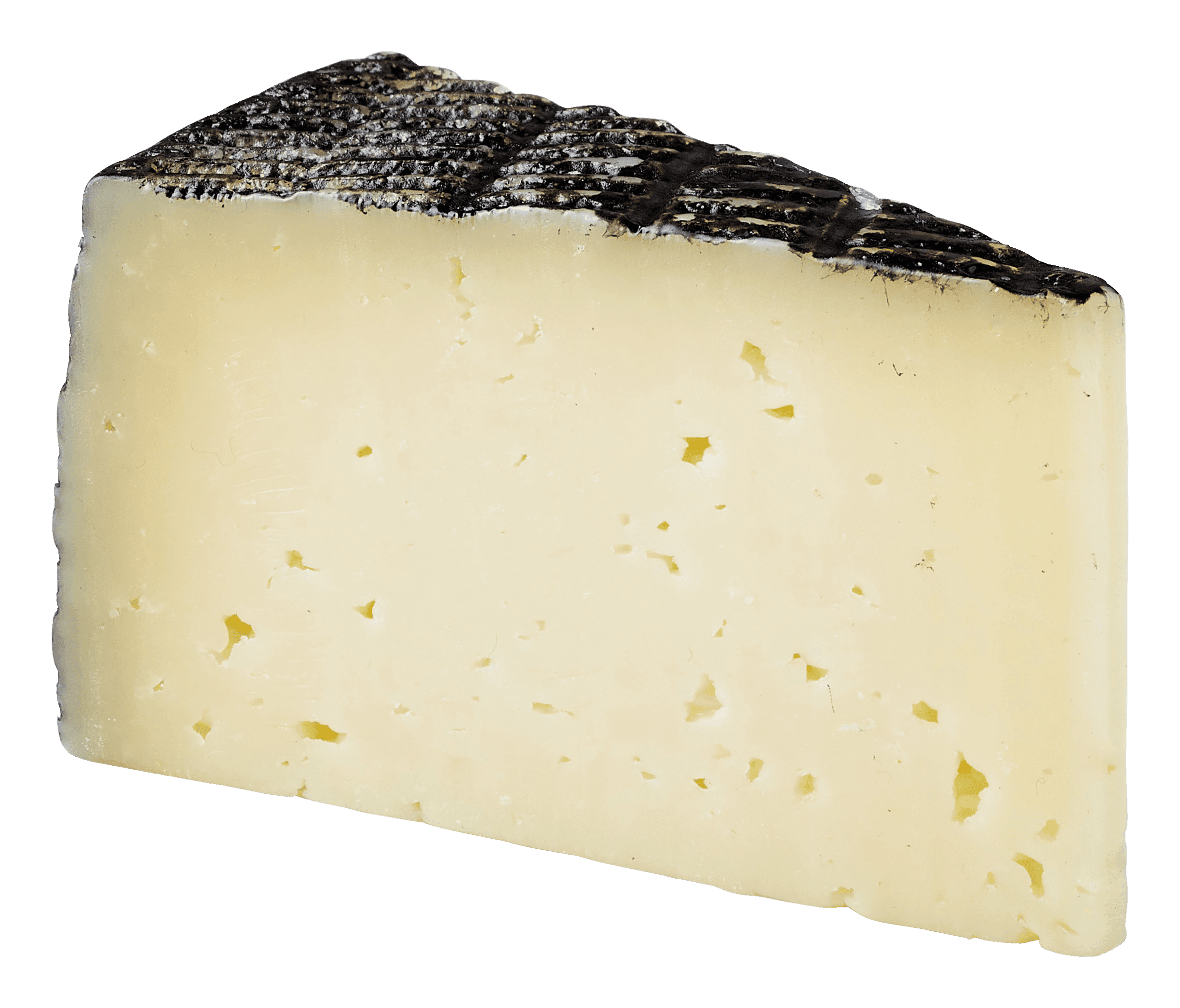 PLUS Iberico 45+