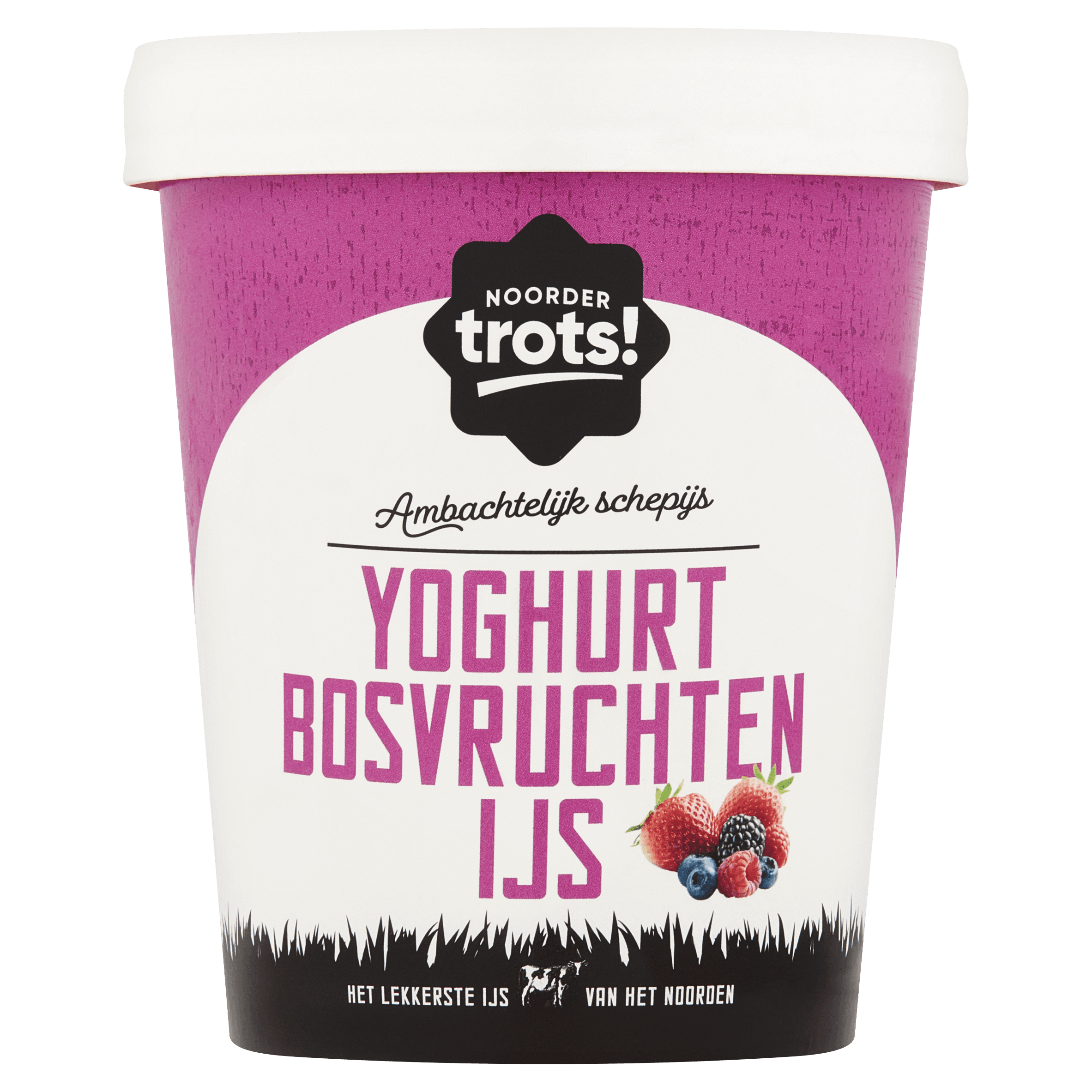 Noordertrots Poiesz Noordertrots Ambachtelijk Schepijs Yoghurt Bosvruchten