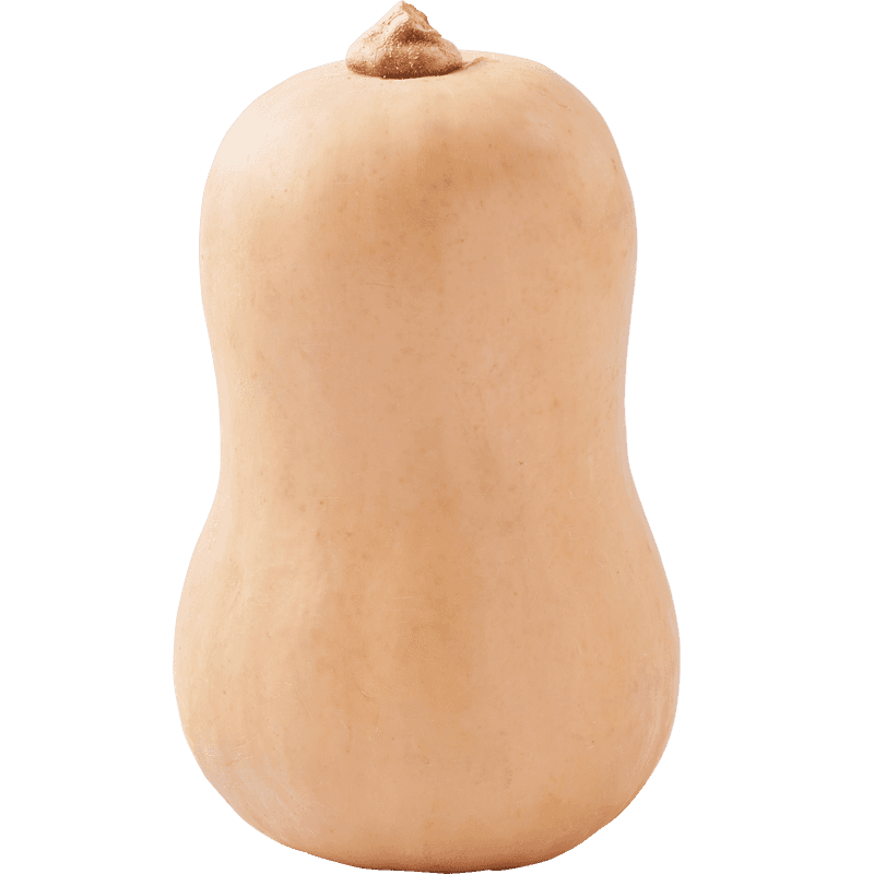Bio+ Biologische Flespompoen