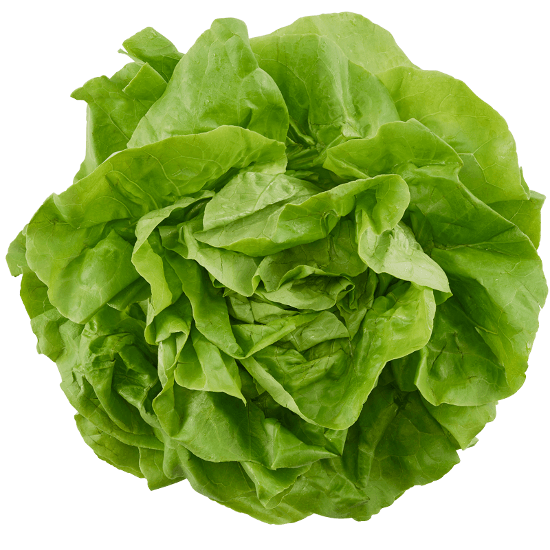 POIESZ Kropsla