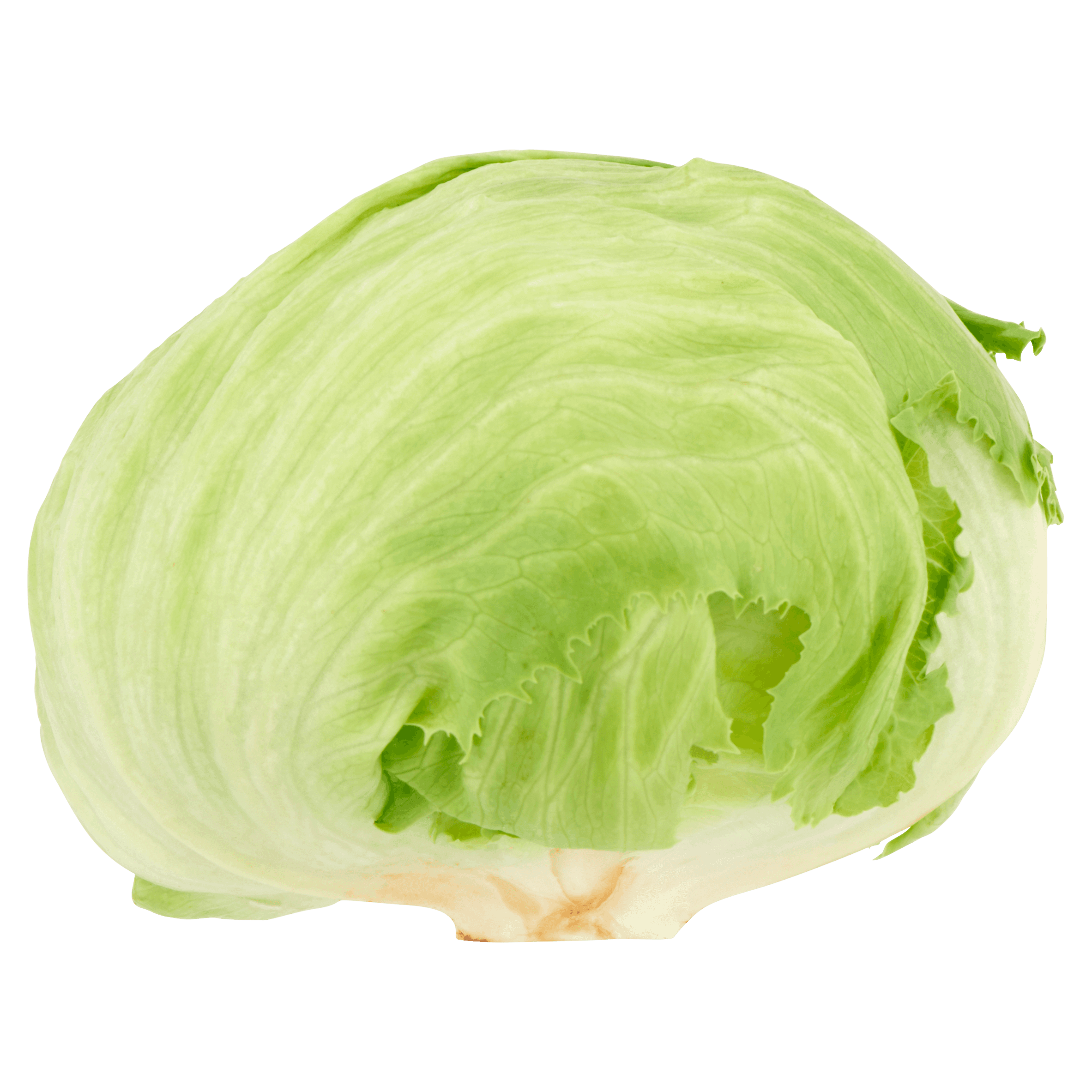 POIESZ IJsbergsla