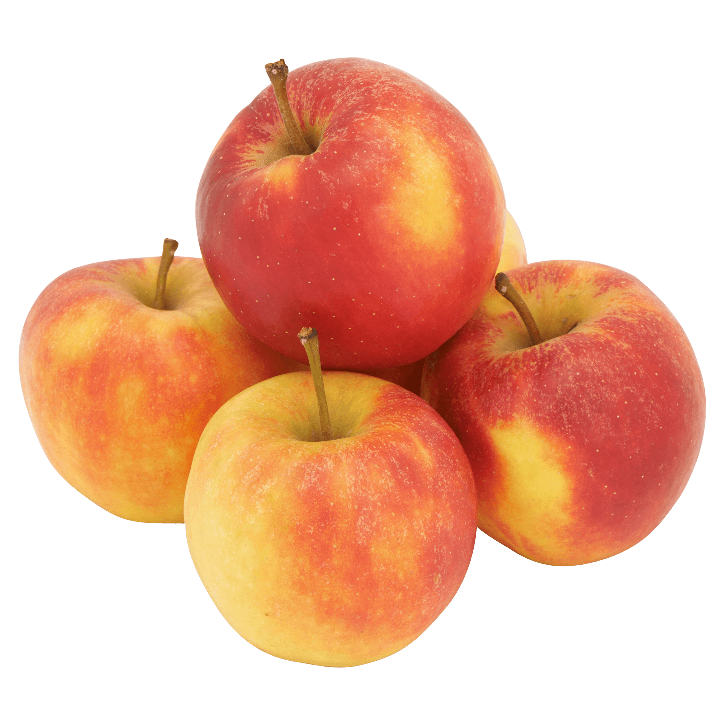 POIESZ Elstar appels