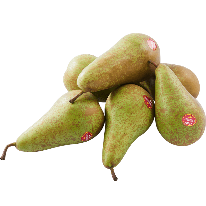POIESZ Conference Peren
