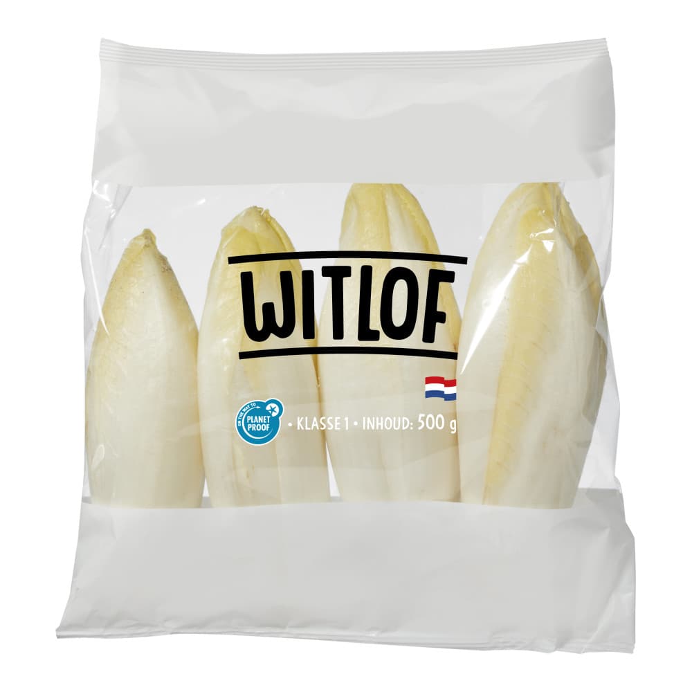 Witlof