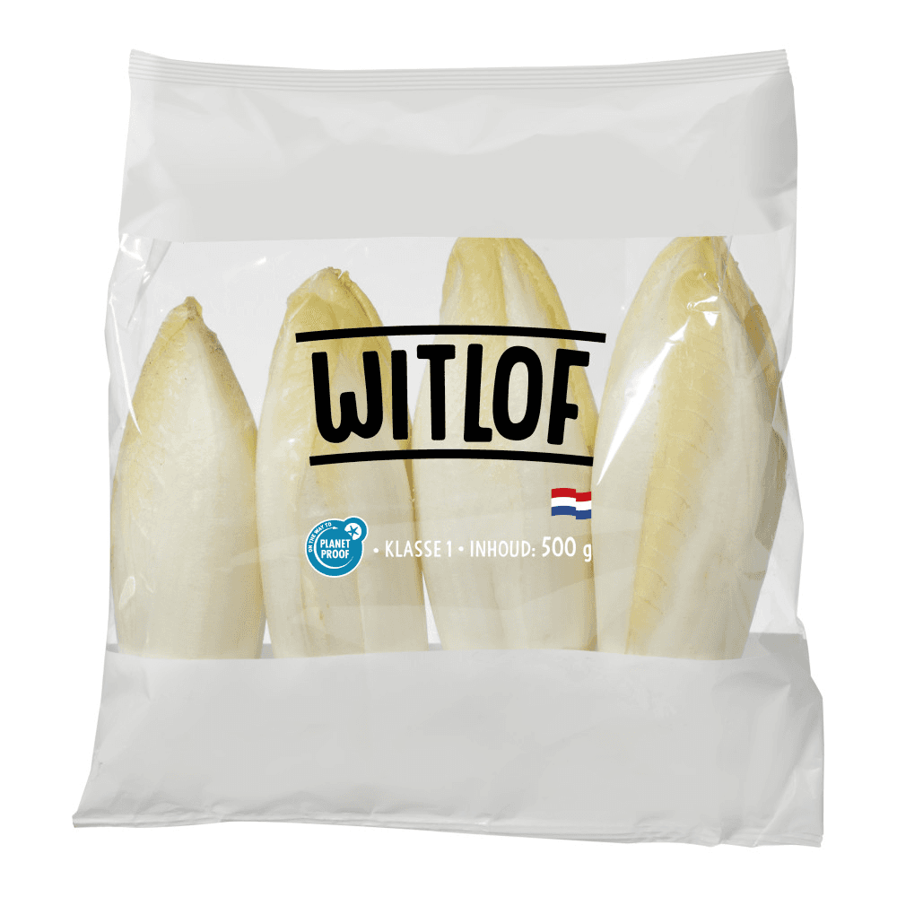 Witlof
