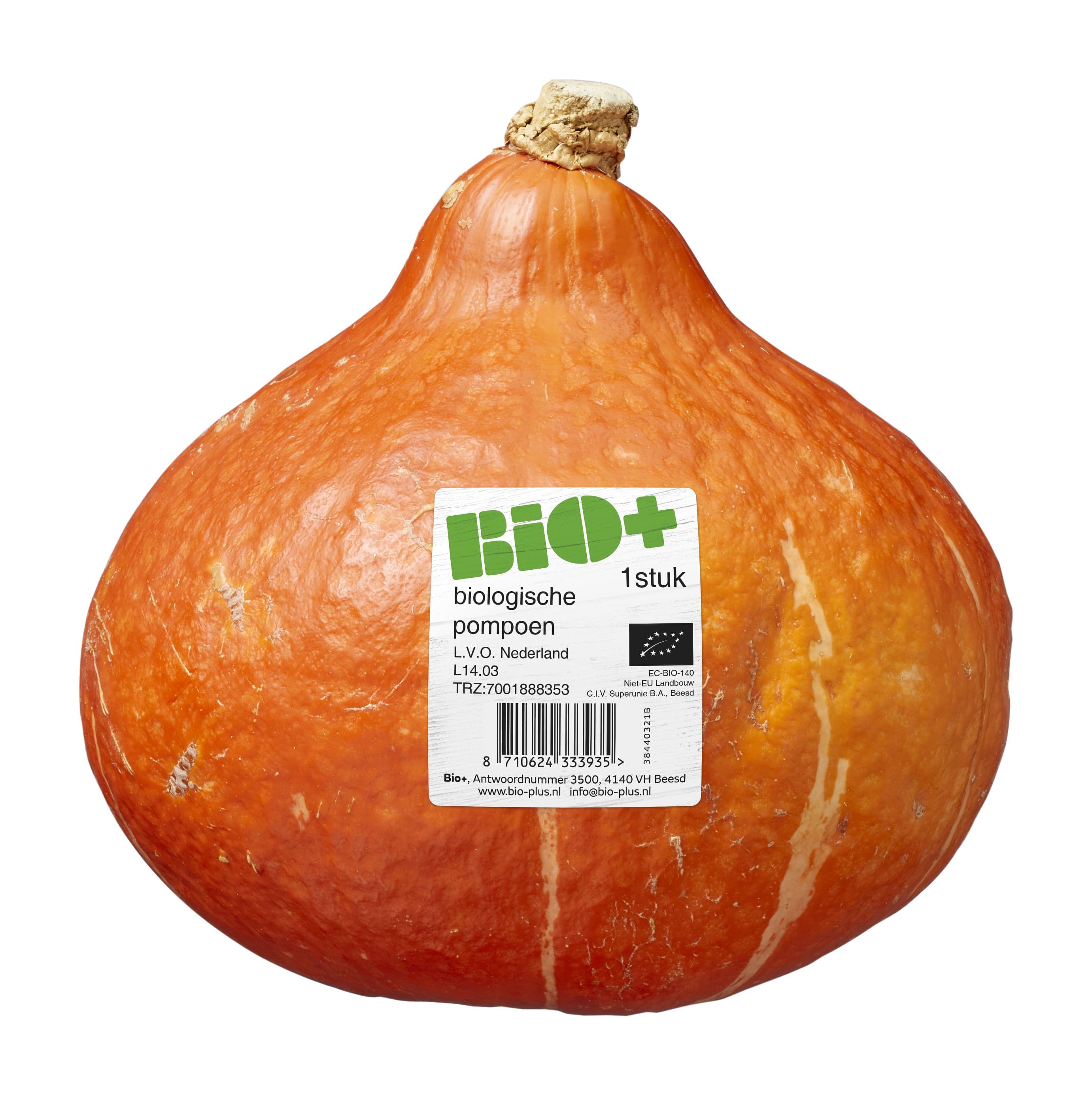 Oranje pompoen