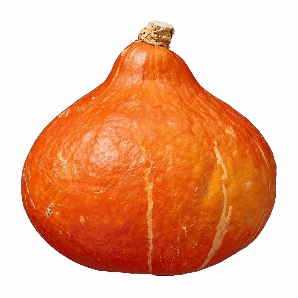 Oranje pompoen