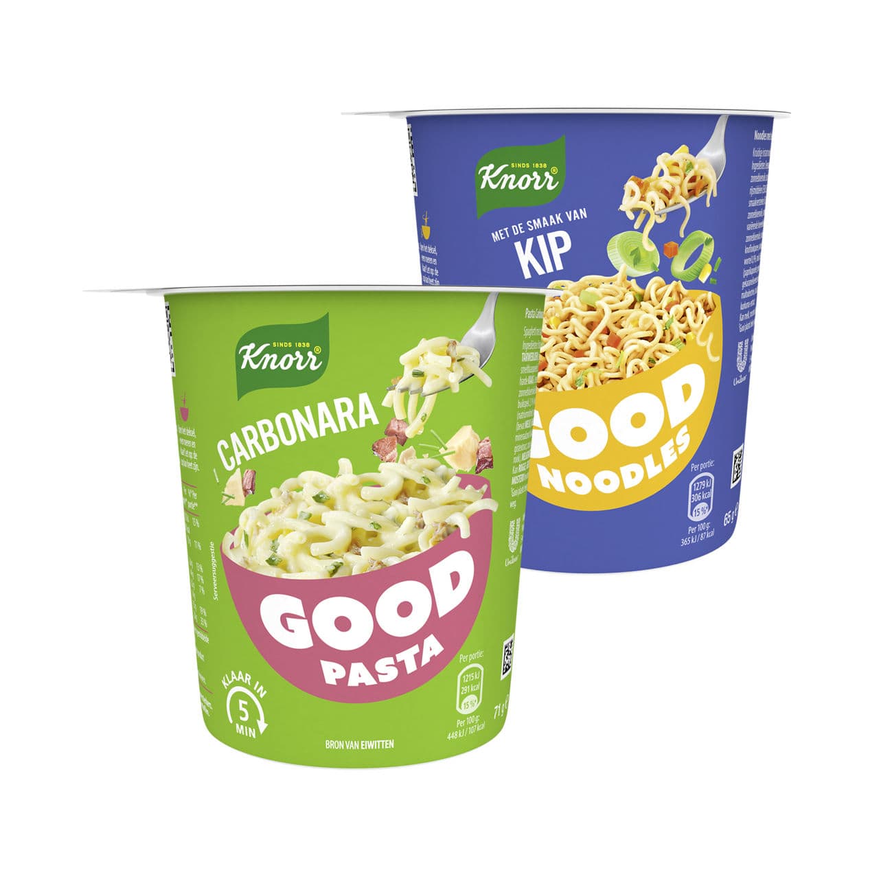 Good noodles of pasta