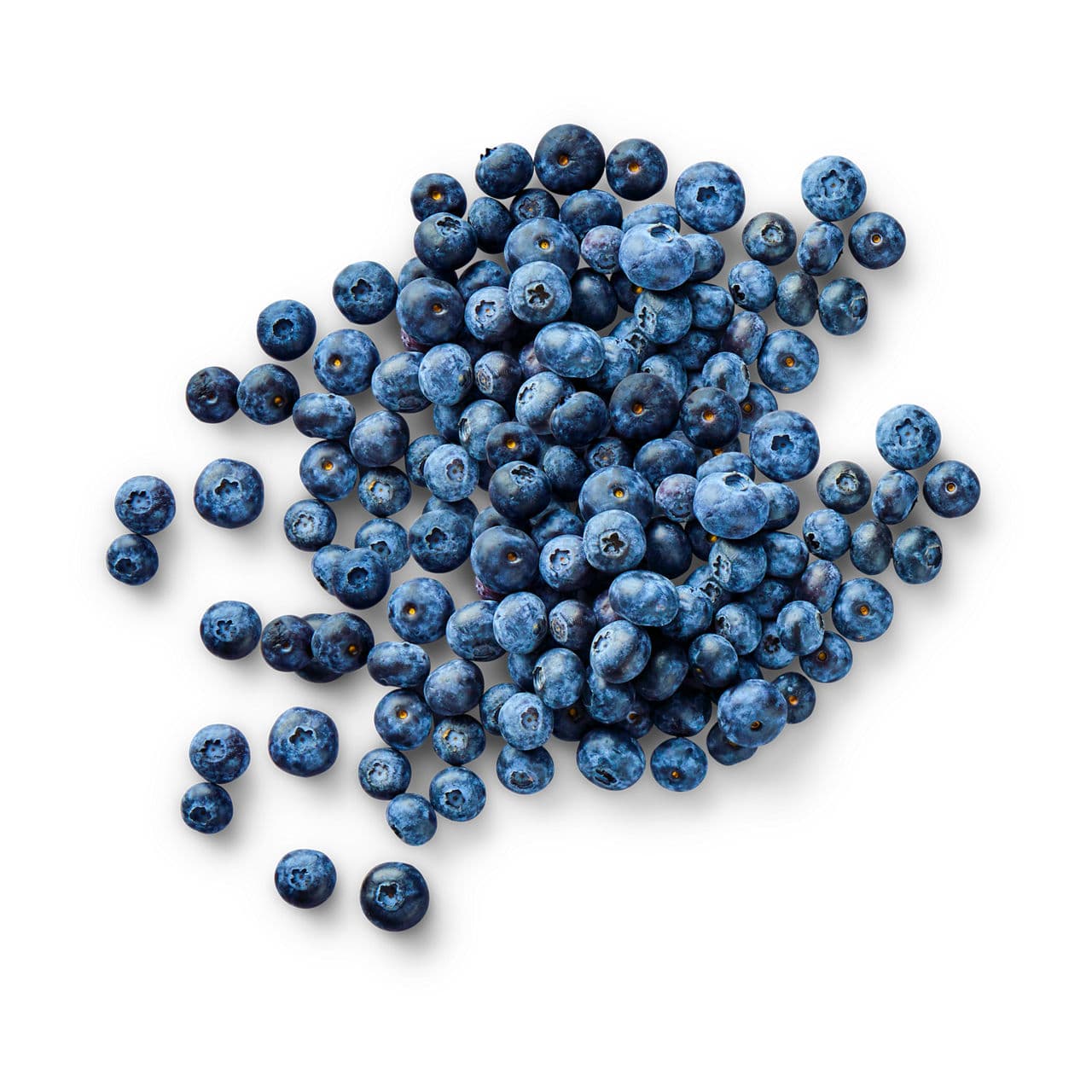 Blauwe bessen