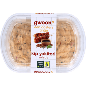 G'woon Kip Yakitori Salade