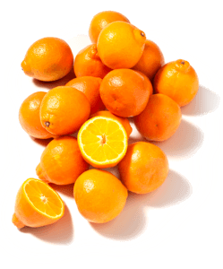 Minneola's