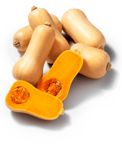 pompoen