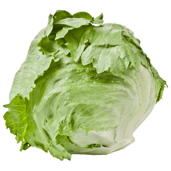 PLUS IJsbergsla krop