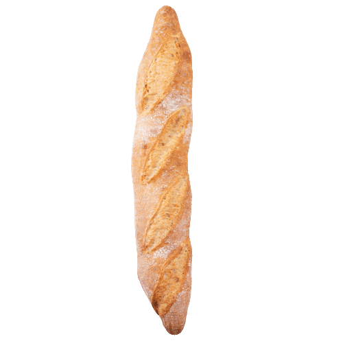 Lodewijker Rustiek Stokbrood Wit