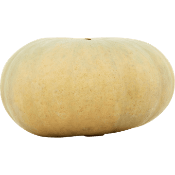 Jumbo Bio Grijze Pompoen