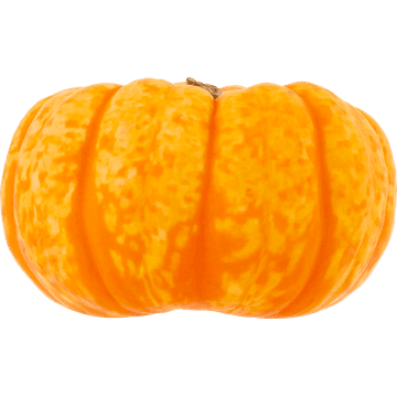 Mini Pompoen