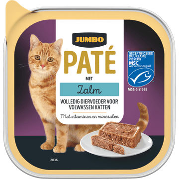 Jumbo Paté met Zalm 100 g