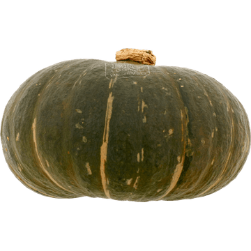 Jumbo Groene Pompoen Biologisch