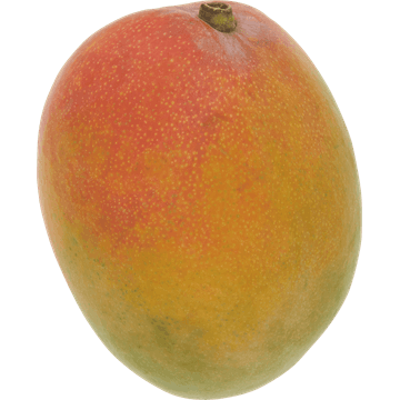 Jumbo Mango Eetrijp