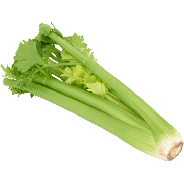 Jumbo Bleekselderij