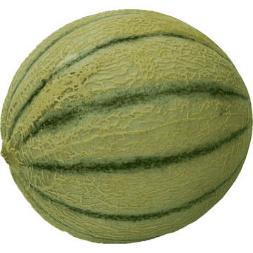 Cantaloupe meloen